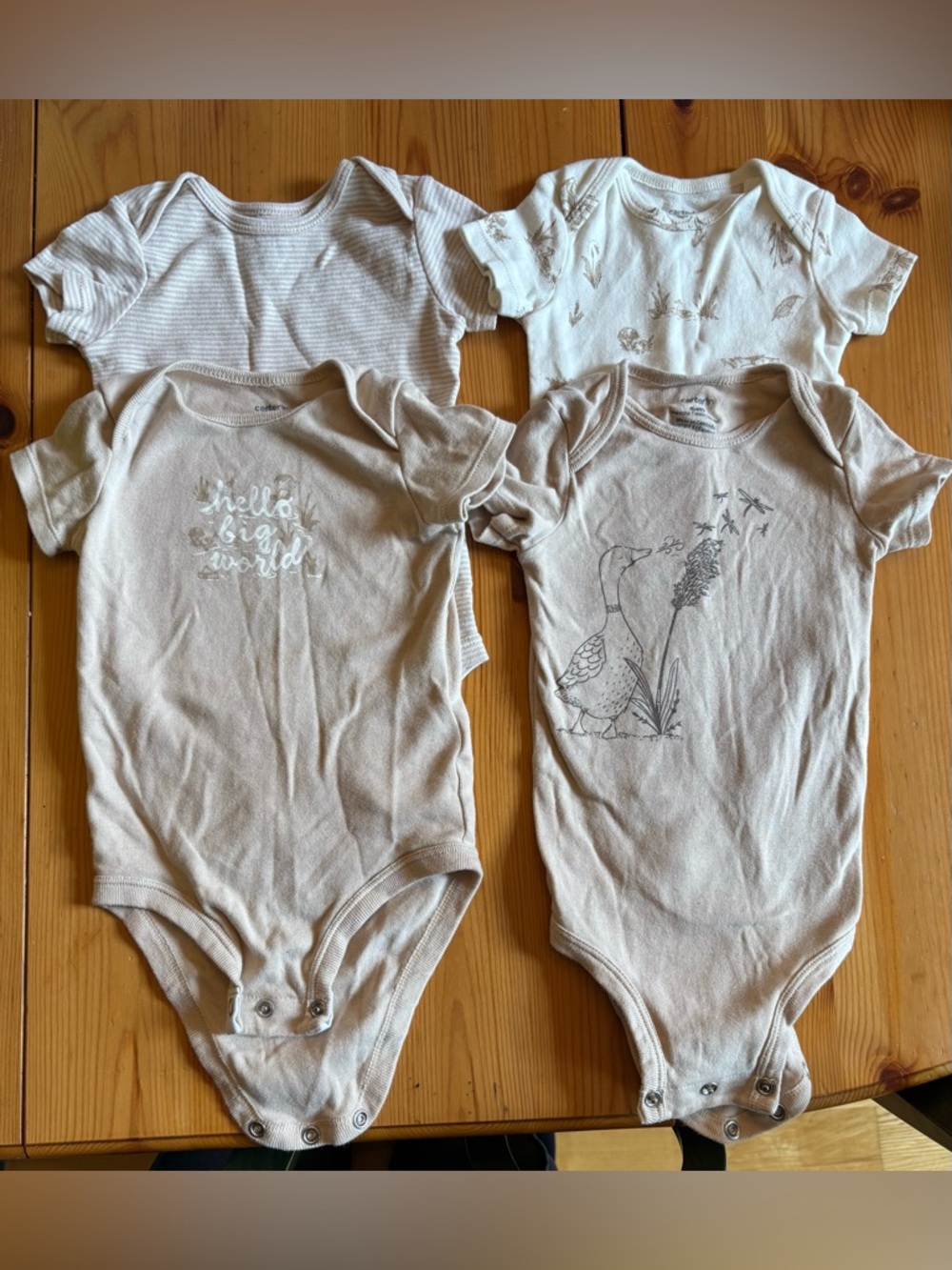 Carters 6M Neutral Cottagecore Bodysuits